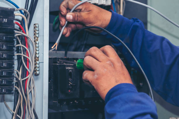 Best Home Electrical Repair  in Dalzell, SC